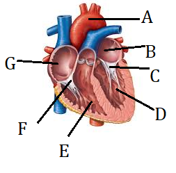 biology